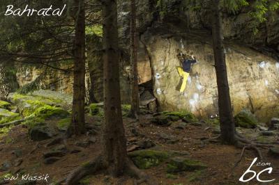 Flori in "SW Klassik"